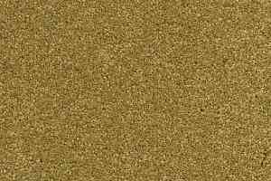 Ковролин AW Vivendi Punch 54 фото  | FLOORDEALER